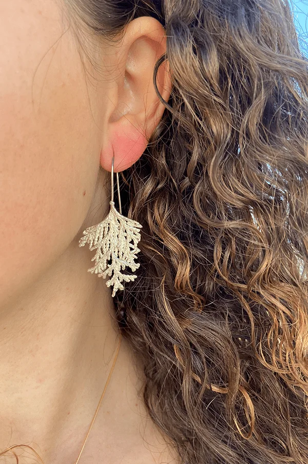 Pendientes plata tuya