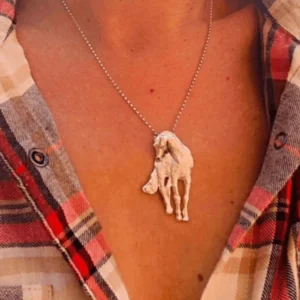 Collar caballo